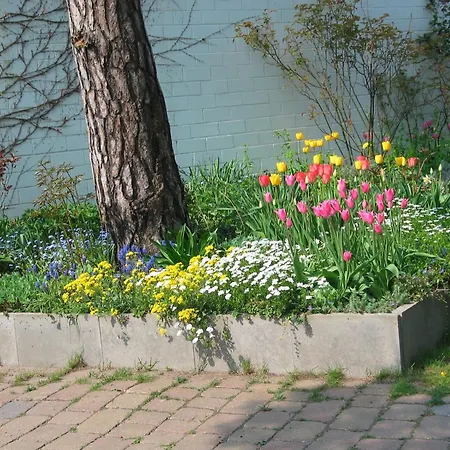 Appartement Bismarckshoehe Helene Heringsdorf (Usedom)